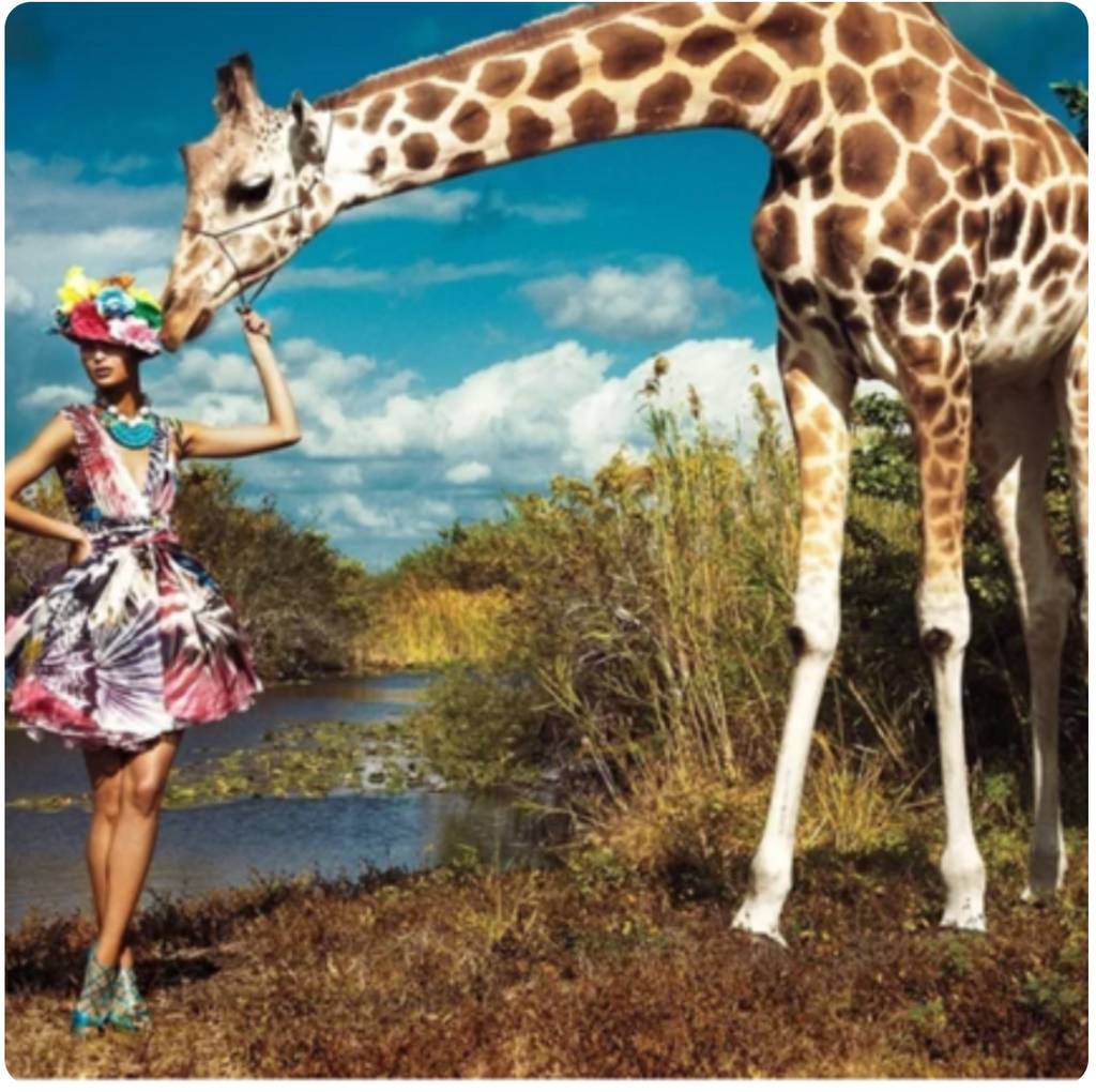 HAT AND GIRAFFE