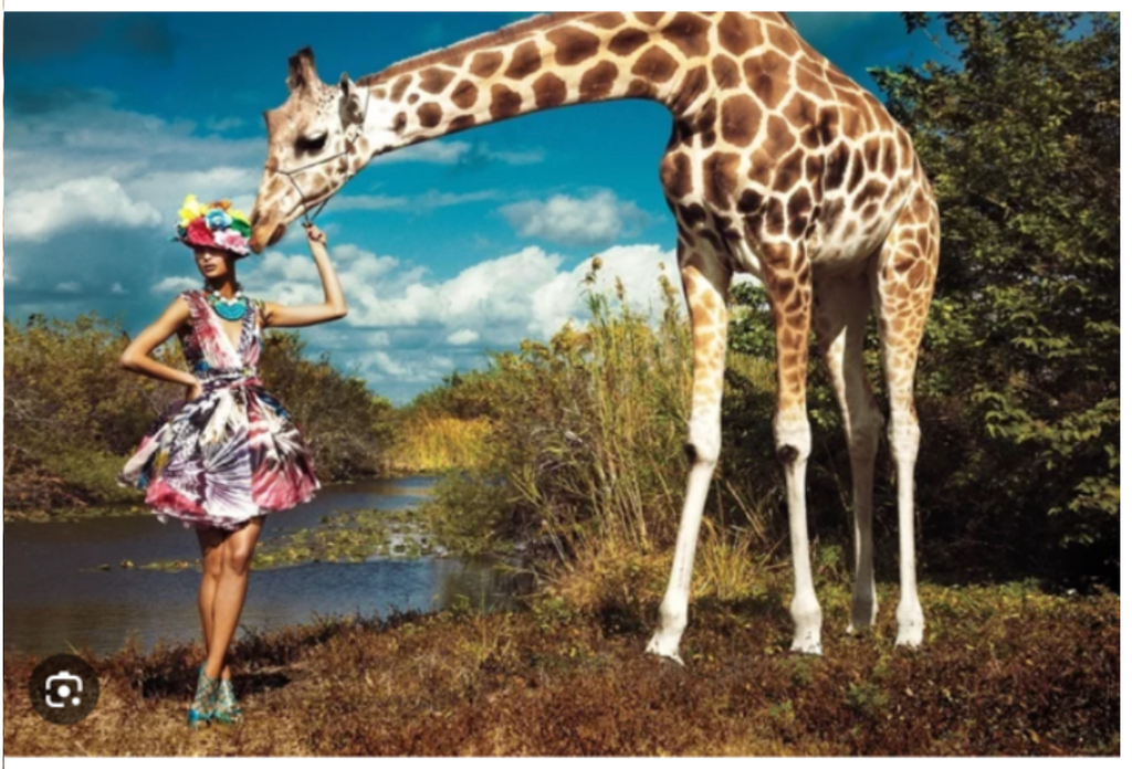 HAT AND GIRAFFE